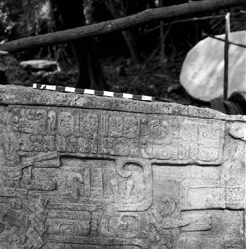 Fragment of Stela 7 at Machaquila