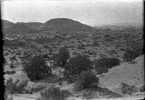 Entrance to Escalante Canyon