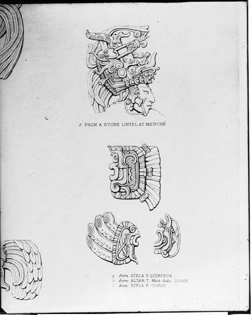 Drawing of head from lintel and serpent bird