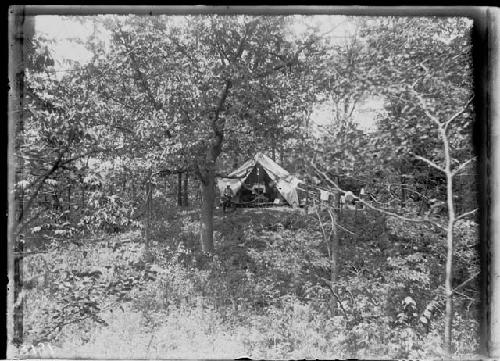 First camp, Expedition to Ohio - July 8-15, 1905