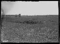 Village site from west showing refuse heaps - Durfee Site