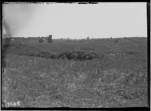 Village site from west showing refuse heaps - Durfee Site