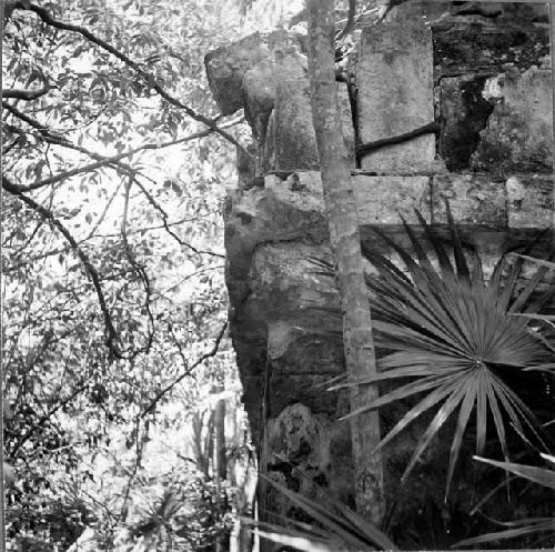 Molding of a temple just west of Castillo of El Meco