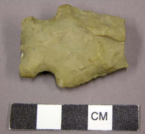 Projectile point