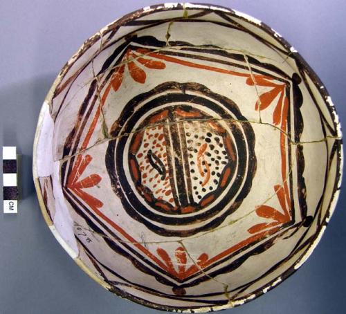 Bowl, polacca polychrome style c. int: curvilinear design; ext: slipped, no desi