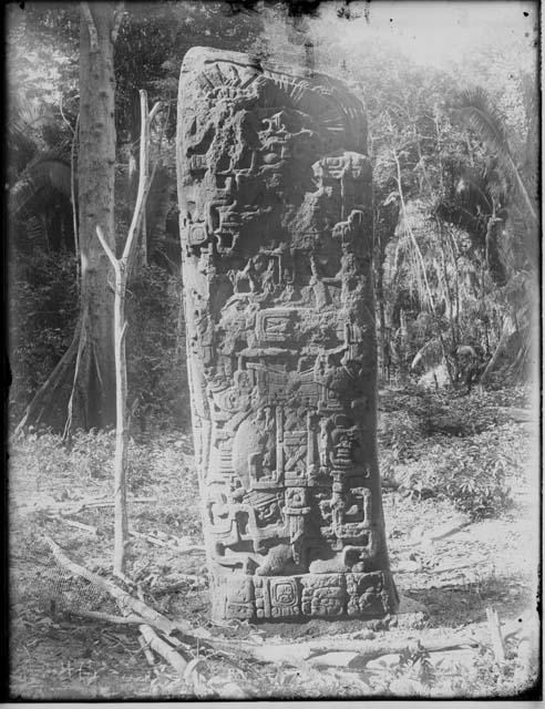 Stela 2 (C) - North Side