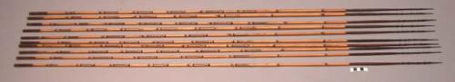 Fighting arrows - bamboo shafts; palm wood points have carved barbs