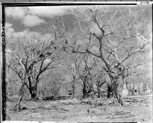 Looking towards laundry form Chichen Park.