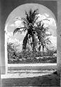 Casa Principal - view South through archway.