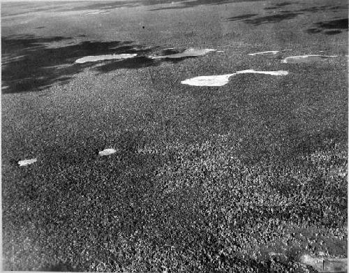 Airplane view of causeways at Coba, looking N.