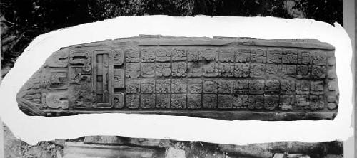 Stela J. (back) (copy of a photograph)