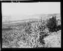 Black Mesa -- looking down valley from it