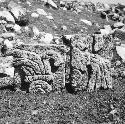 5C15. Sculptured loose stones on top of Temple of Phaluses, area 26