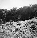 Cliff in the forests about 500m south of km 292.5 of the Ferrocarril del Sureste