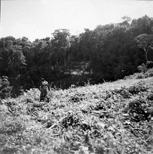 Cliff in the forests about 500m south of km 292.5 of the Ferrocarril del Sureste