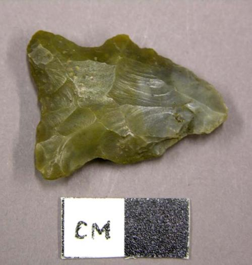 Projectile point