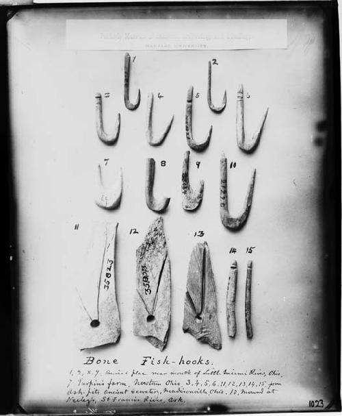 Bone fish hooks