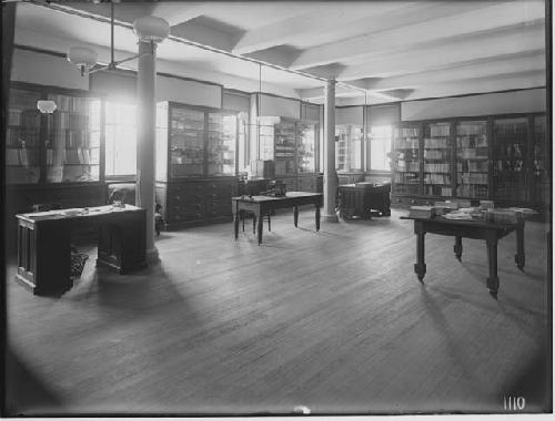 Peabody Museum Library