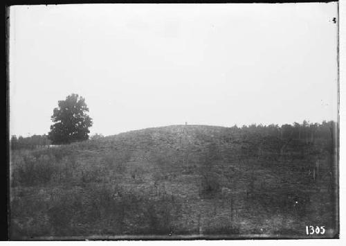 Burial mound from West before exploration