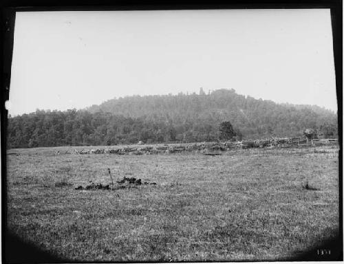 Fort Hill from the south