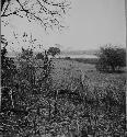 Swampy Country around the Archaeological Mounds