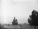 View looking East from the Southwestern tip of Kaiparowits