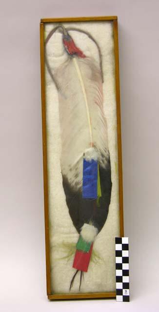 Large black & white feather with pieces of colored cloth attached