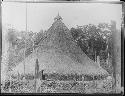 House with pointed roof