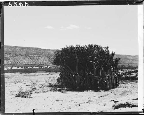 Kin-Bo-Ko Canyon Near Mouth