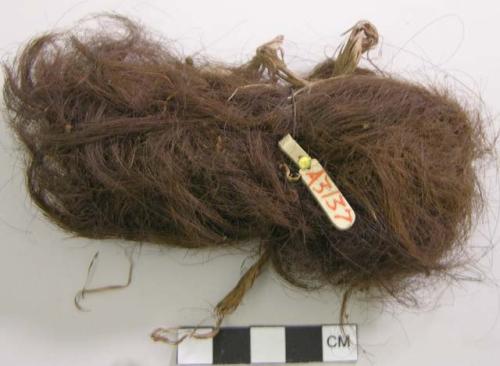 Bundle of human hair