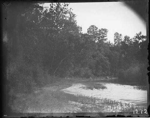 Brush Creek looking down