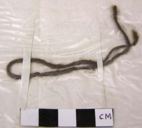 Portion of yarn string of moose wool from patch of skin from the mane of a moose