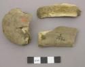 Antler fragments, marked axe