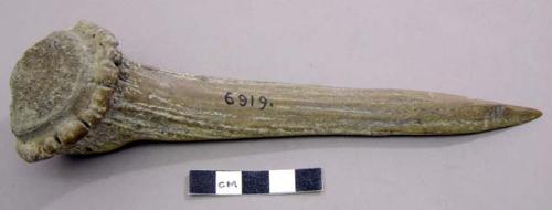 Pointed tool (dagger?) made of antler. Large cervide, antler.