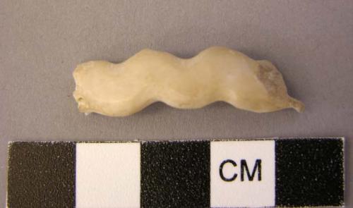 Shell, rim fragment, carved with scalloped edge