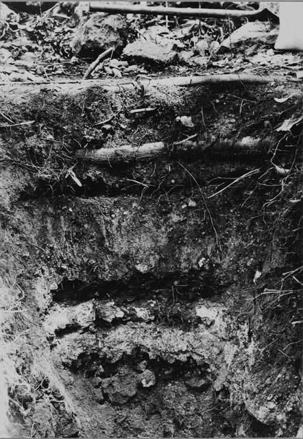 Group B; south of Structure X; Trench V; looking north