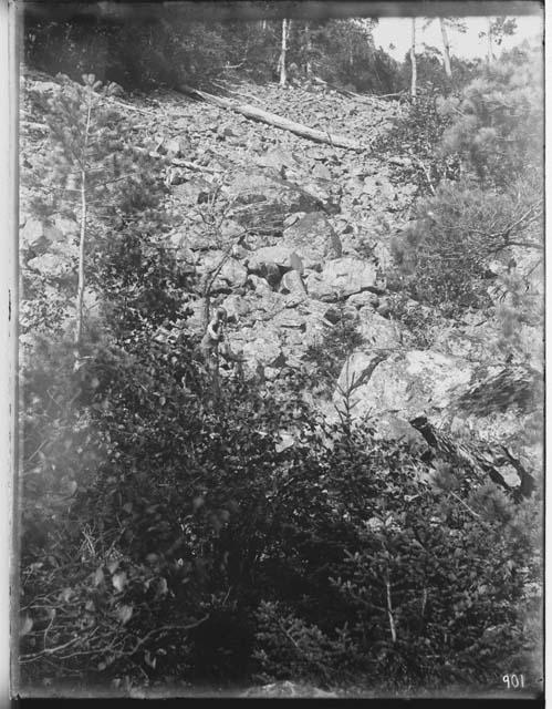 Talus Slope Near West End of Mt. Kineo