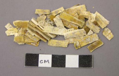 Box containing carved bone necklace