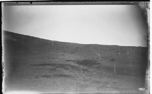 Terraces near Great Swamp