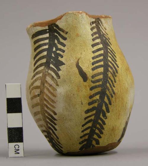 Jar, Polacca polychrome style c. plant design