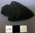 Projectile point