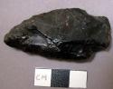 Projectile point