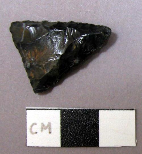 Projectile point