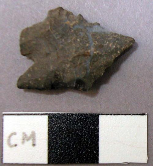 Projectile point