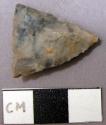 Projectile point