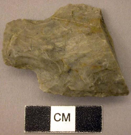 Projectile point