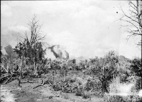 Site View With Burning Sage