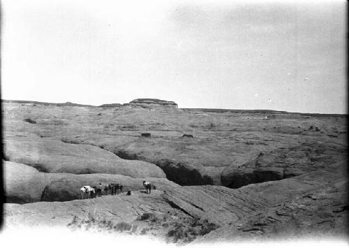 Crew and Mules in Smith Fork Canyon