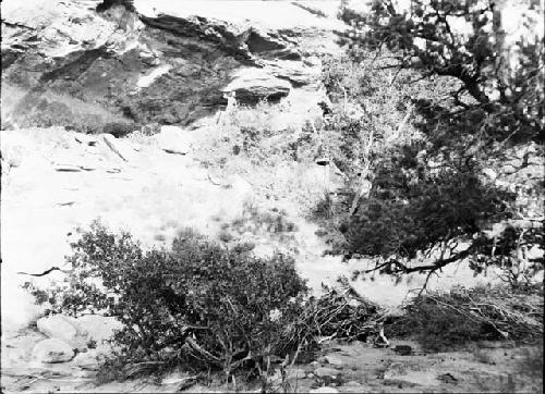 General View of Side Walk Spring Cave