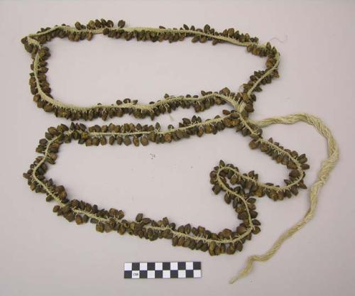 Seed necklace or bandoleer